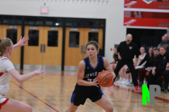 D-SCCGBB_2-3-2026_0050