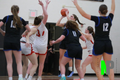 D-SCCGBB_2-3-2026_0053