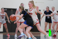 D-SCCGBB_2-3-2026_0055