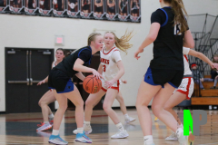 D-SCCGBB_2-3-2026_0071