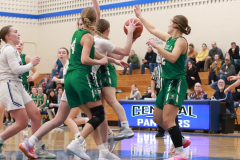 SCCGBB_V_1-23-2024_0041 SCCGBB_V_1-23-2024_0041