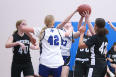 SCCGBB_Y_2-6-2024_0016 SCCGBB_Y_2-6-2024_0016