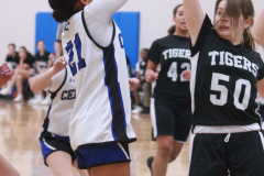 SCCGBB_Y_2-6-2024_0039 SCCGBB_Y_2-6-2024_0039