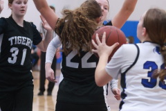 SCCGBB_Y_2-6-2024_0123 SCCGBB_Y_2-6-2024_0123