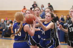 SCCGBB_Y_2-6-2024_0146 SCCGBB_Y_2-6-2024_0146