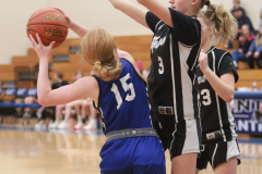 SCCGBB_Y_2-6-2024_0148 SCCGBB_Y_2-6-2024_0148