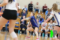 D-SCCVB_10-16-2025_0113