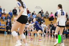 D-SCCVB_10-16-2025_0140