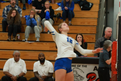 SCFVB_10-31-2024_0015 SCFVB_10-31-2024_0015