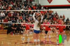 SCFVB_10-31-2024_0134 SCFVB_10-31-2024_0134