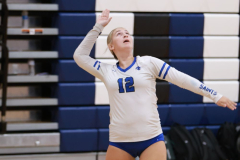 S-SCFVB_9-4-2025_0005