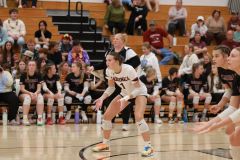 SVVB_10-24-2024_0026