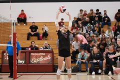 SVVB_10-24-2024_0031