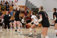 SVVB_10-24-2024_0039