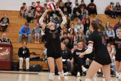 SVVB_10-24-2024_0041