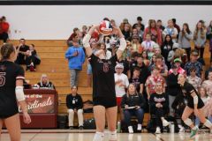 SVVB_10-24-2024_0051