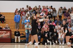 SVVB_10-24-2024_0054