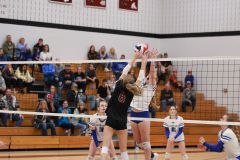 SVVB_10-24-2024_0061