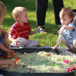 Windmill-days_2025_0002