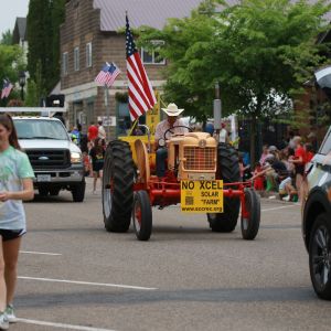 Windmill-days_2025_0188