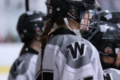 S-WWS_2-13-2026_0003